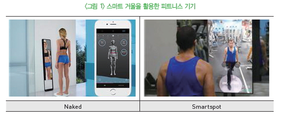 그림 1 스마트 거울을 활용한 피트니스 기기