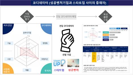 코디네이터(성공벤처기업과 스타트업 사이의 중재자)