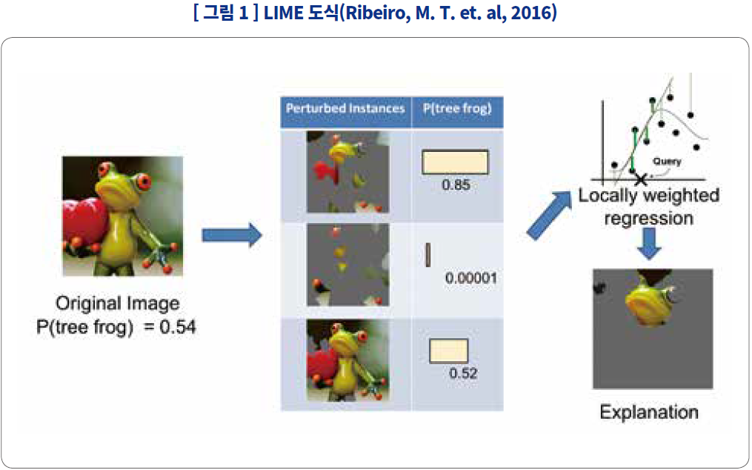 LIME 도식(Ribeiro, M. T. et. al, 2016)