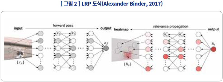 LRP 도식(Alexander Binder, 2017)