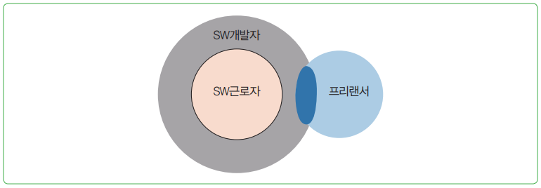 그림 2 SW개발자 범위