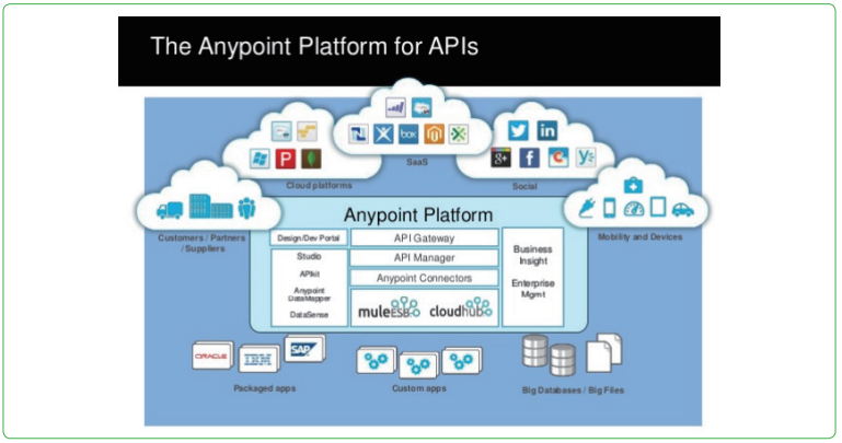 그림 3 MuleSoft사의 애니포인트 플랫폼 구성도