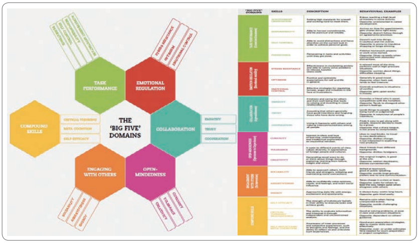 Social and Emotional Skills