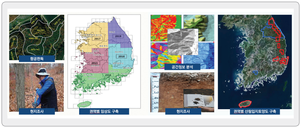 그림 4 권역별 임상도 및 입지토양도